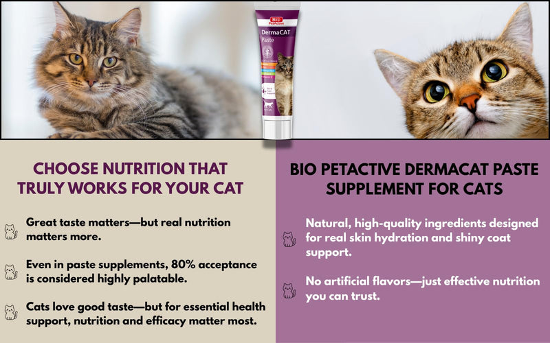 Bio PetActive DermaCAT Skin & Coat Health Supplement Paste for Cats with Biotin, Flaxseed Oil Omega-3, Collagen, Zinc, Prebiotic MOS & Vitamin E – Supports Shiny Coat, Minimize Shedding – 3.38 oz