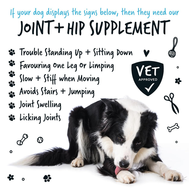 BUGALUGS Joint Supplements For Dogs With Glucosamine, Chondroitin, Green Lipped Mussel - 10 Key Dog Vitamins, Helps with Pain Relief, Joint Support & Stiff Joints (200g) 200g