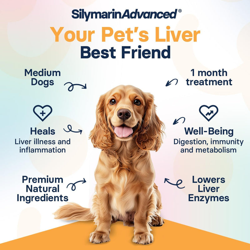 Liver Health Supplement for Medium Dogs, S-Adenosylmethionine (Same) and Silybin, Liver Tablets, Cognitive Support, 30 Tablets - BeesActive Australia