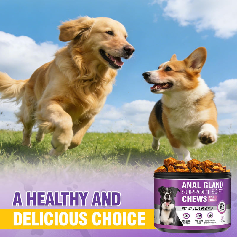 Dog Anal Gland Soft Chews 150 Stop Scoot for Dogs Supports Anal Gland Bowel Function Digestive Health Fiber Pumpkin Supplement for Dogs Pet Diarrhea Bowel Support Probiotics Digestive (Chicken Flavor) 150 Count(Pack of 1)