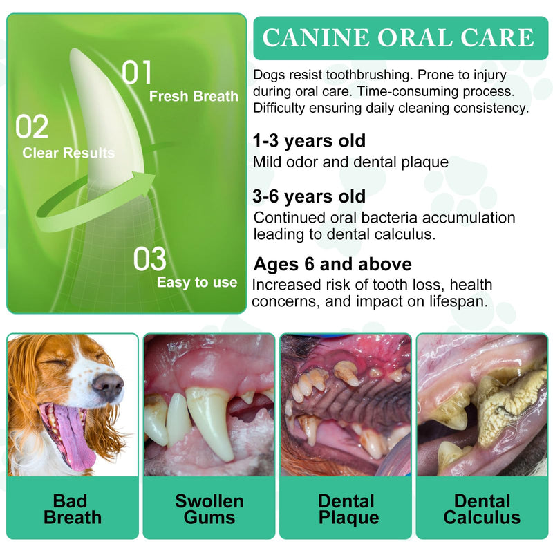 Dental Cleaning Powder for Dogs & Cats,100g Natural Plaque & Tartar Remover with Probiotics, Oral Care Supplement for Fresh Breath and Healthy Gums, Easy Use Food Additive for All Breeds