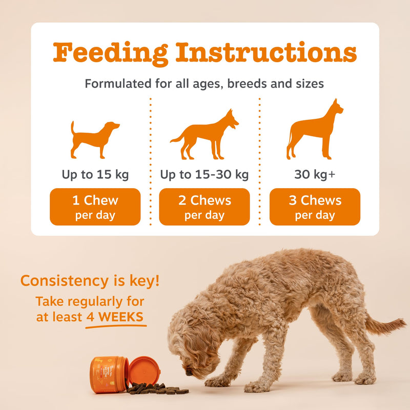 Zesty Paws Probiotic Chews for Dogs | Supports Gut Health, Stool Quality & Digestive Balance, Bad Breath| Contains Prebiotics, Probiotics & Postbiotics, Pumpkin & Linseed | Daily Use | 90 Chews 90 Count
