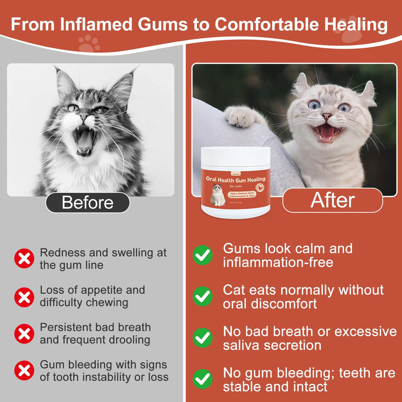 Oral Health for Cats, Cat Gingivitis Treatment, Reduce Gum Inflammation, Redness & Pain, Combats Gum Disease, Natural Plant-Based Active Formula, Cat Oral Care, Gums Health Treatment, 4 oz, 113g