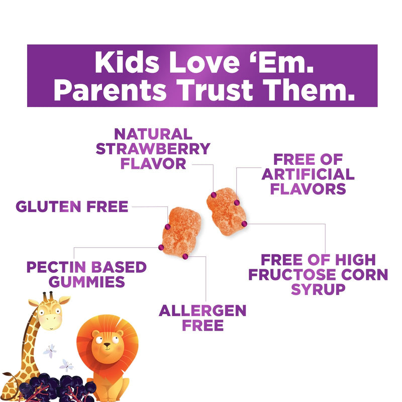 Multivitamin for Kids - Complete Daily Children's Multi Vitamin Gummy Chew with Vitamin D, B Vitamins, Zinc & More - Energy, Memory Focus & Immune Health Support - Natural Berry Flavor - 60 Gummies 60 Count (Pack of 1)