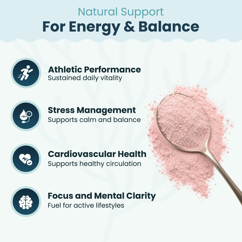 Atlantic Naturals Superfood Organic Sea Moss Powder Blend with Ashwagandha, Maca Root & Beet Root | Ideal for Healthy Skin, Positive Mood & Energy | Vanilla Flavor (150g)