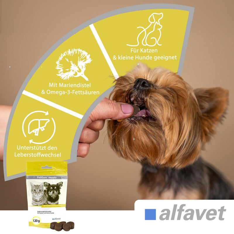 Alfavet FeliGum Hepato, supplementary food for cats and small dogs, for chronic liver insufficiency, 120g, approx. 60 chewing drops - BeesActive Australia