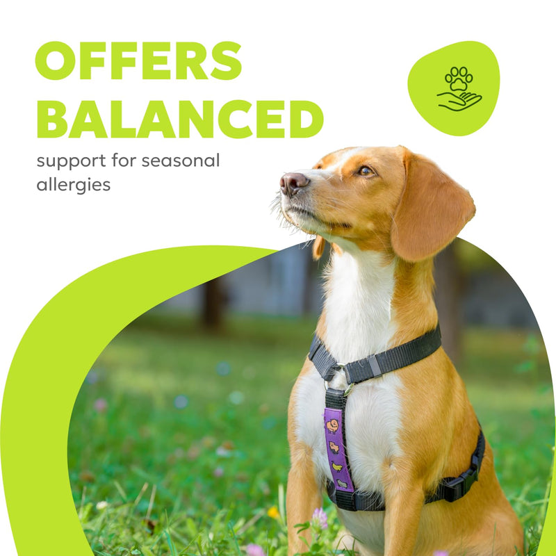 Canine Allergy Soft Chews | Dog Allergy Relief Supplements, Anti Itch Bites for Dogs, for Healthy Immune Response, for Itchy Skin, Probiotic Treats | 60 Chews, 180g, 6.35 oz - PawsPlanet Australia