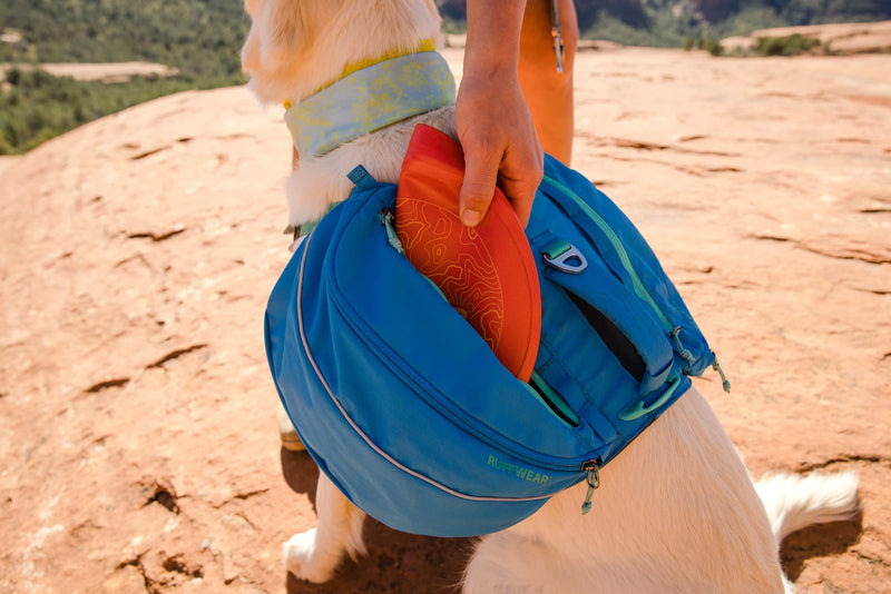 Ruffwear, Camp Flyer Dog Toy, Lightweight and Flexible Disc for Throw and Fetch, Lichen Green - BeesActive Australia