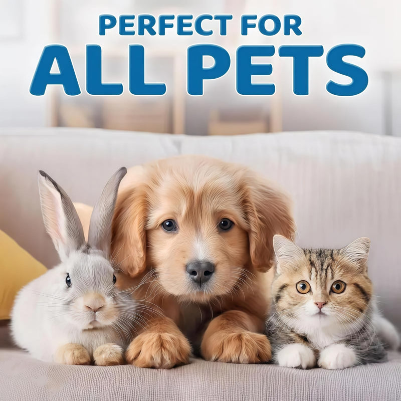 Dog Eye Gel for Gunky Eyes and Dry Eye Drops for Pets,Cat Soothing Eye Gel for Dry Eyes,Pet Eye Care for Dogs and Cats with Dog Eye Cleaner,Effective Eye Drops for Cats and Dogs Eye Gel,5g