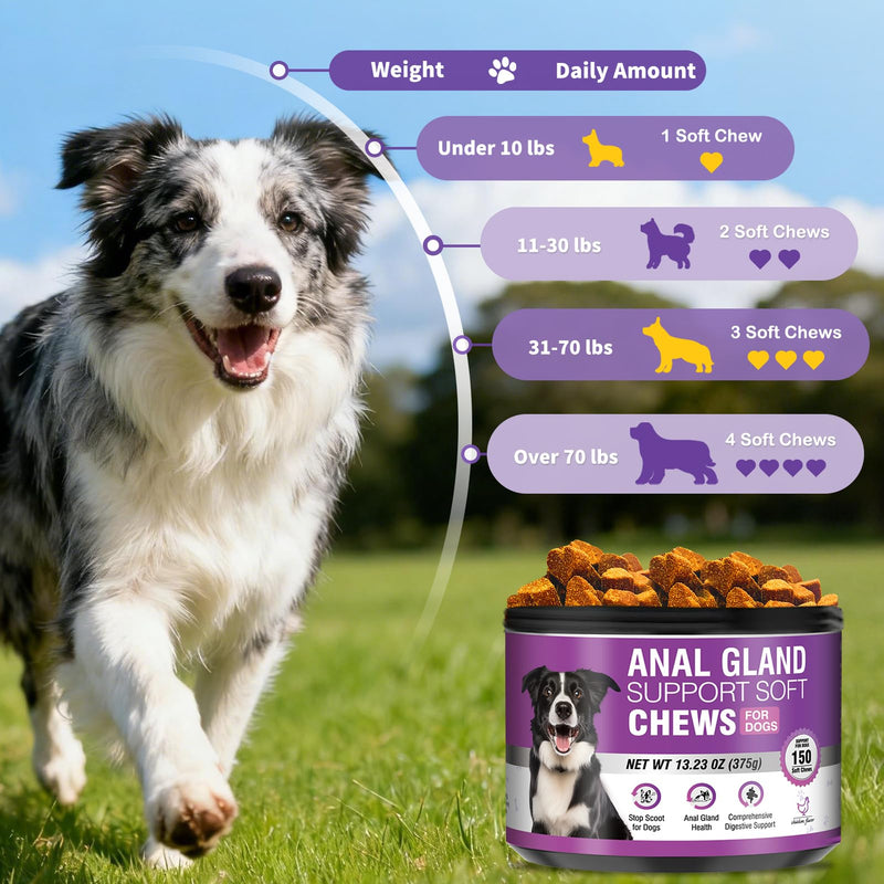 Dog Anal Gland Soft Chews 150 Stop Scoot for Dogs Supports Anal Gland Bowel Function Digestive Health Fiber Pumpkin Supplement for Dogs Pet Diarrhea Bowel Support Probiotics Digestive (Chicken Flavor) 150 Count(Pack of 1)