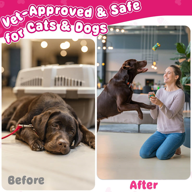 Cat & Dog Urinary Tract Support Drops with Cranberry – Kidney & Bladder Health– Natural Supplement for Pet Wellness & Comfort - BeesActive Australia
