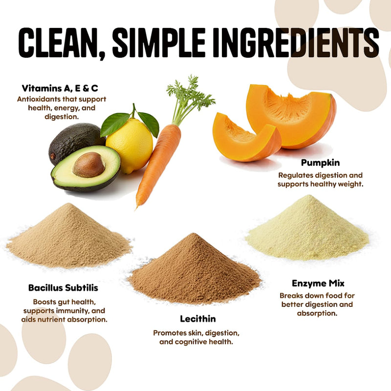 Dog Probiotic Supplements for Gut Health – 120 Soft Probiotic Chews for Dogs – Daily Canine Probiotics & Prebiotics to Support Digestion, Immunity & Sensitive Stomachs – Salmon Flavour Treats