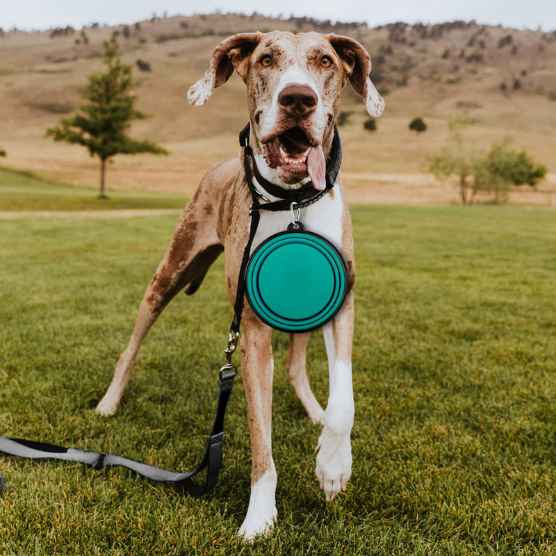 Collapsible Dog Bowls-2 Pack Large Size for Large/Medium Dogs, Dog Travel Water Bowl, Dog Cat Portable Water Bowl, Dog Pet Feeding Watering Dish Outdoor Hiking Parking Traveling with 2 Carabiners 01-Black +Dark Green - BeesActive Australia