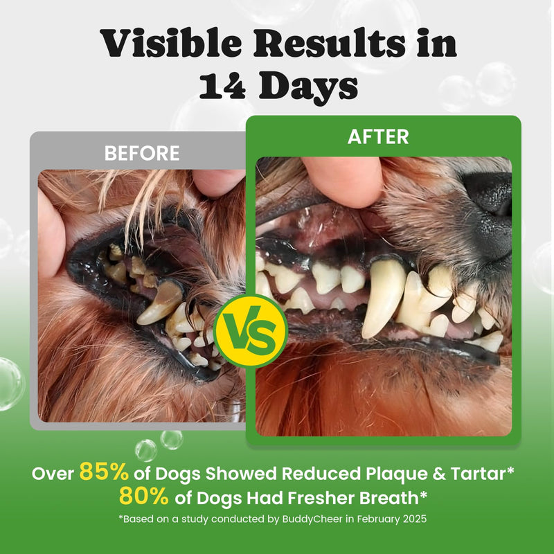 Dog Teeth Cleaning Powder, Dog Dental Powder and Cats Breath Freshener, Plaque Off Pet Tooth Cleaning lab co, Bad Breath & Tartar Remover for Dogs, Dog Teeth Cleaning with Enzymes- 60-Day Supply -Mint 5.29 Ounce (Pack of 1)
