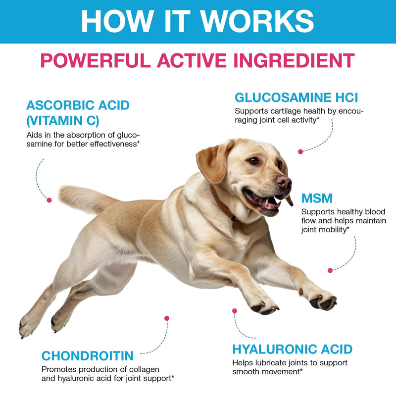 Joint Supplements For Dogs, 60ml Natural Dog Joint Supplements With Glucosamine And Chondroitin, Dogs Arthritis Pain Relief, Natural Ingredients Fast Acting Formula Dog Care