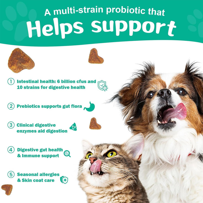BIGHERO Probiotics for Dogs - Dog Probiotics with Prebiotics and Digestive Enzymes, Support Gut Health, Digestive & Immune Health, Dog Supplement for Diarrhea & Seasonal Allergies-180 Chicken Flavor - BeesActive Australia