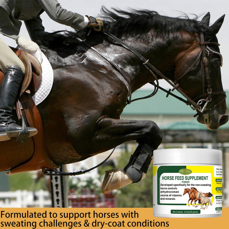 Horse Non Sweating Treatment, Promoting Healthy Temperature Regulation for Stop Sweat, AC, Old, Mare, Gelding, Anhidrosis, One Hot Summer Day Use - BeesActive Australia