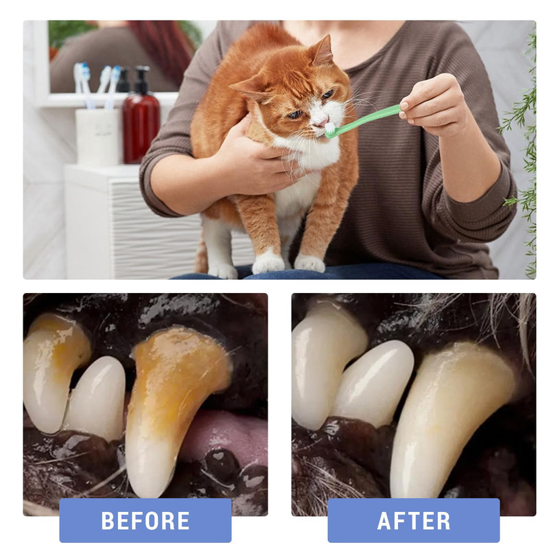 YANINEE 6 pieces soft silicone cat toothbrush set, nylon cat toothbrush, cat toothbrush - BeesActive Australia