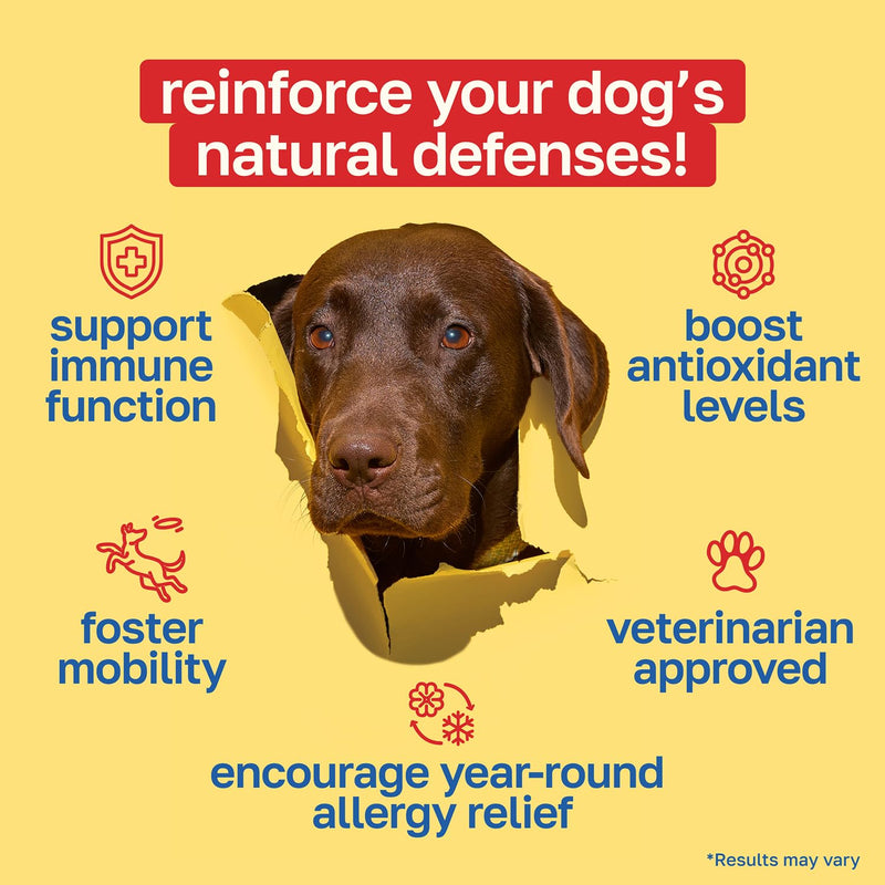 Happy Paws Turmeric Supplement for Dogs, Daily Immune & Joint Support for All Breeds & Ages, with Turmeric, Colostrum & Turkey Tail Mushrooms, Pumpkin Flavor, Non-GMO, 100 Soft Chews 100 Count