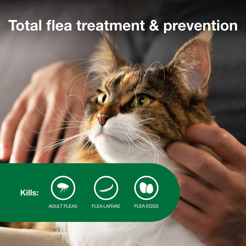 Advantage II Large Cat Vet-Recommended Flea Treatment & Prevention | Cats Over 9 lbs. | 1-Month Supply (Pack of 3) 3-Pack