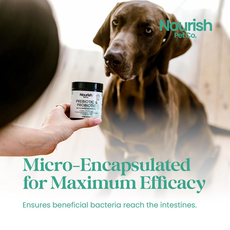 Nourish Pet Co. Gut Health Support for Pets - Prebiotics & Probiotics for Digestion & Immunity