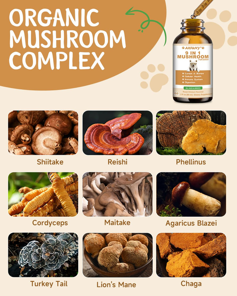 9 in 1 Mushroom for Dogs - Mushroom Supplement for Dogs - Digestive, Skin, Joint, Immune System - with 9 Mushrooms - Roast Chicken Flavor, 60ML