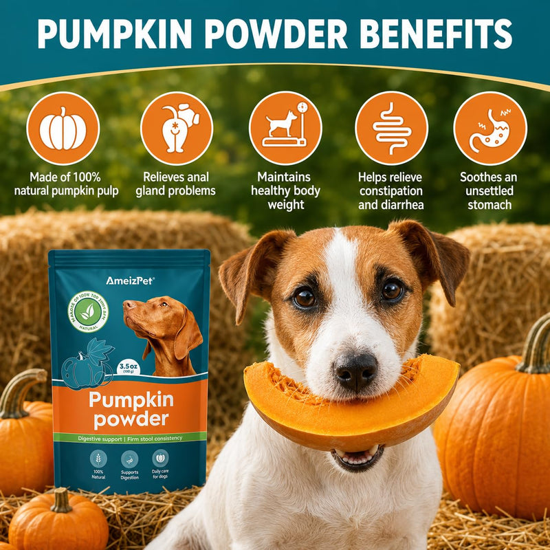 AmeizPet Pumpkin Powder For Dogs, To Create Pumpkin Puree, Fibre For Dogs Firm Stool, 100% Pumpkins Pulp Powder For Good Bowel Activity For Dog, Canned Pumpkins Alternative, 100g (3.5 Oz.) 100 g (Pack of 1)