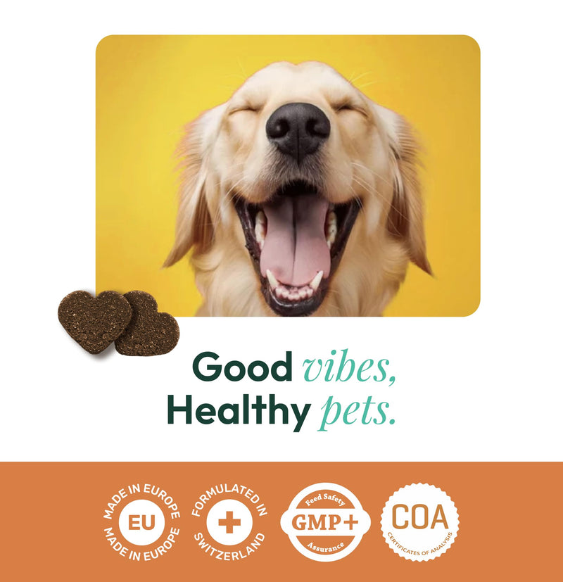 Gooddy Healthy Skin & Glowing Coat Supplement for Dogs, 100 Snacks, 300g - Improves Color and Healing, Minimizes Itching and Stinging with Biotin, Zinc, L-Tyrosine, Vitamins A and E, Flaxseed