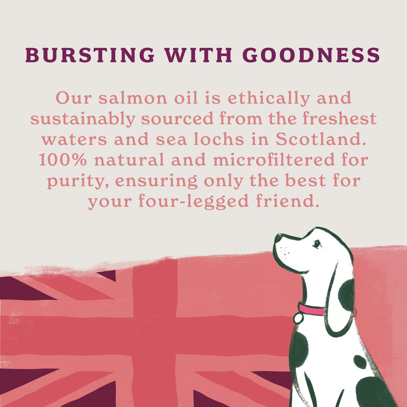 Forthglade Scottish Salmon Oil for Dogs (1 x 500ml), UK Sourced Omega 3 Fish Oil Dog Joint Supplement for Pets Aged 4+ Months, 100% Natural Premium Quality Dog Vitamins for Everyday Wellbeing