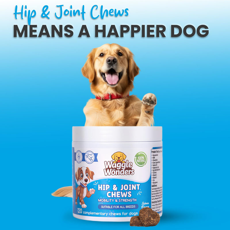 Hip & Joint Chews for Dogs – Dog Joint Supplement with Glucosamine, Chondroitin & Green Lipped Mussel, Supports Mobility, Flexibility & Stiff Joints, Senior & Active Dogs, 120 Chews