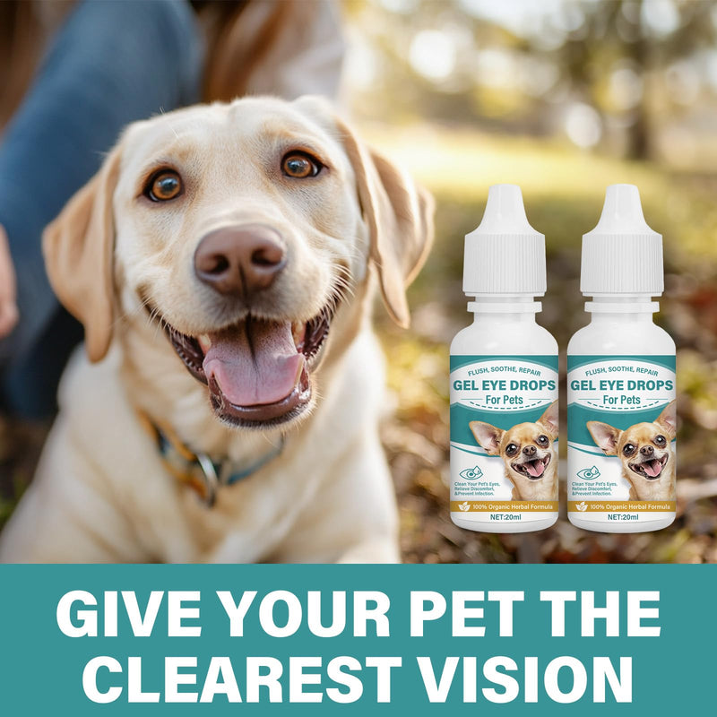 Cataract Drops for Dogs, Pet Gel Dog Eye Drops, Long Lasting Hydration,Improve Vision Clarity and Cataracts(2 x 20 mL) - BeesActive Australia