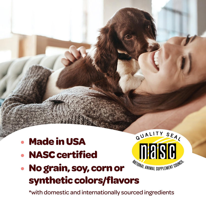 Hip and Joint Chews for Dogs | Dog Glucosamine Chews for Comfort & Mobility with Chondroitin MSM & Turmeric | Dog Joint Supplement for All Ages & Sizes | NASC Certified & Made in The USA | 60 Chews Hip and Joint 60 Count