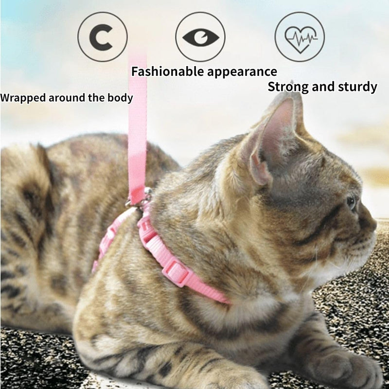 Rabbit Bunny Harness with Leash Adjustable Soft Nylon Harness Rabbit Vest Harness Lead Leash Pink Blue Lead Leash All Season for Small Animals (Blue,S) S - BeesActive Australia