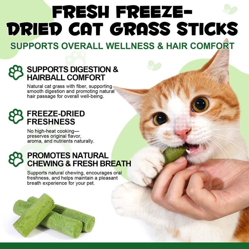 Freeze-Dried Cat Grass Sticks for Teething, High Meat Content Hairball Control & Dental Health Chews, Grain-Free Cat Treats with Chicken & Egg Yolk Grass Grass Sticks 1.12 Ounce (Pack of 1)
