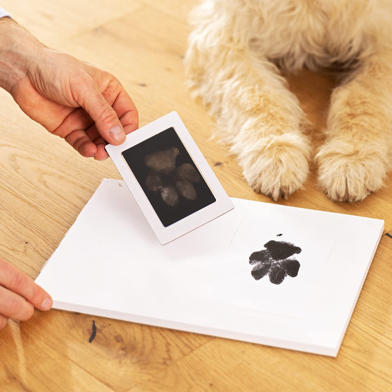 Navaris urn for dog or cat - animal urn including space for 2 photos and paw print - dog urn cat urn - animal urn for dogs - dog box in black - BeesActive Australia
