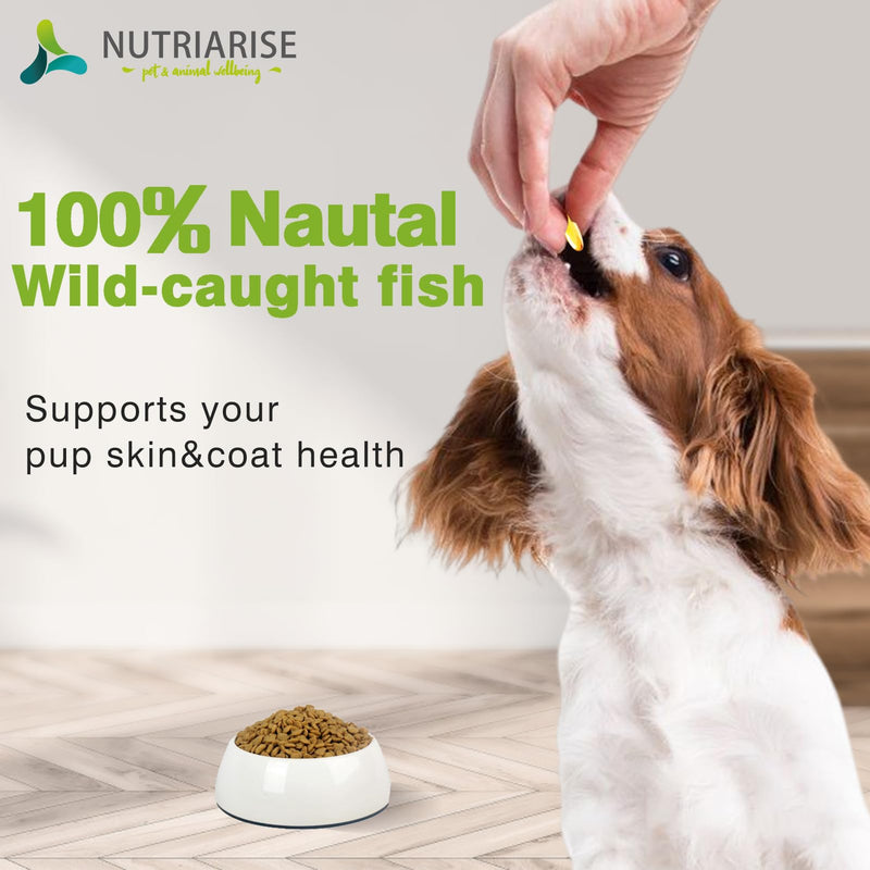 Omega 3 Fish Oil for Dogs and Cats, Dog & Cat Fish Oil Pet Supplement, Skin and Coat Supplement for Shedding, Dry Itchy Skin and Allergies, Rich in EPA & DHA with Omega 3 Fatty Acids, 120 Softgels - PawsPlanet Australia