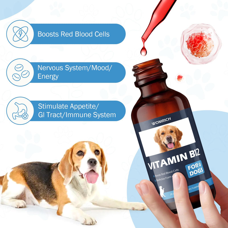 Appetite Stimulant Vitamin B12 for Dogs | Methylcobalamin (Methyl B12) | Treatment of EPI in Dogs Boosts Red Blood Cell Formation, Energy, Nervous System, Treats Pancreatitis | 2 fl oz