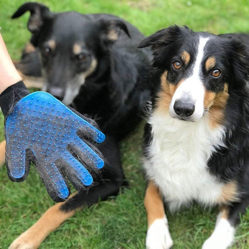 Fluffix 2 Pet Brush Glove - The ultimate solution for gentle grooming and massage - Hair remover - Grooming glove - For dogs and cats 2 pieces - BeesActive Australia