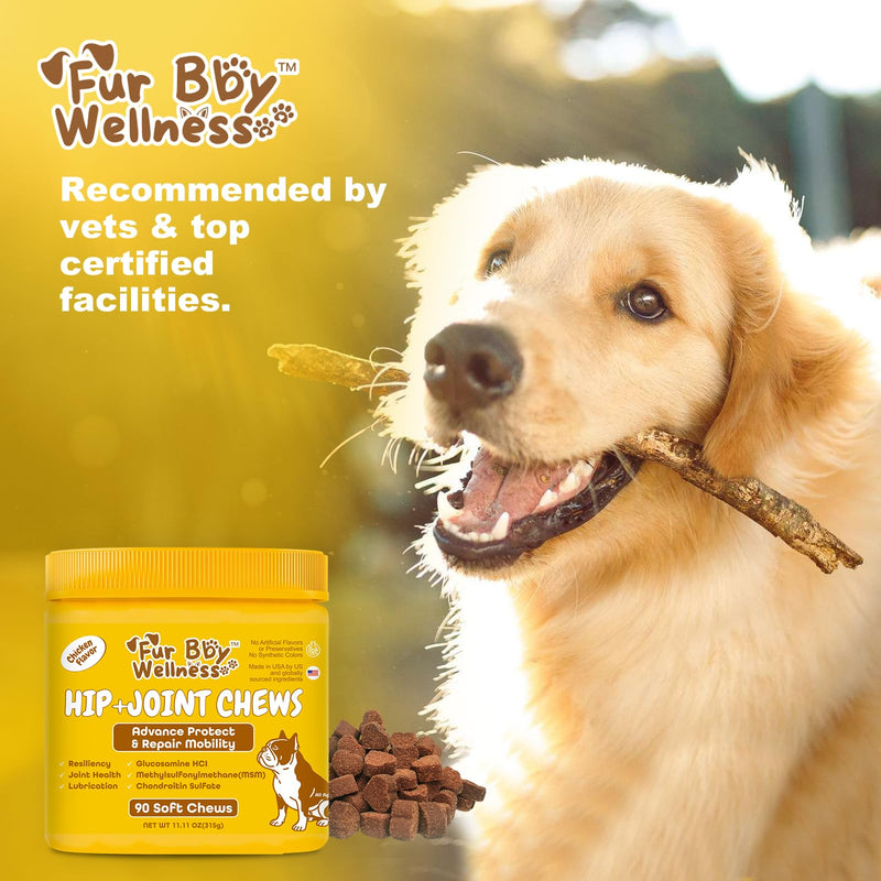 Vet-Strength Hip & Joint Support for Dogs - Fast-Acting Relief for Arthritis, Stiffness & Inflammation - Advanced Mobility, Cartilage, Bone & Muscle Support - Tasty Chicken Soft Chews - 90 Count