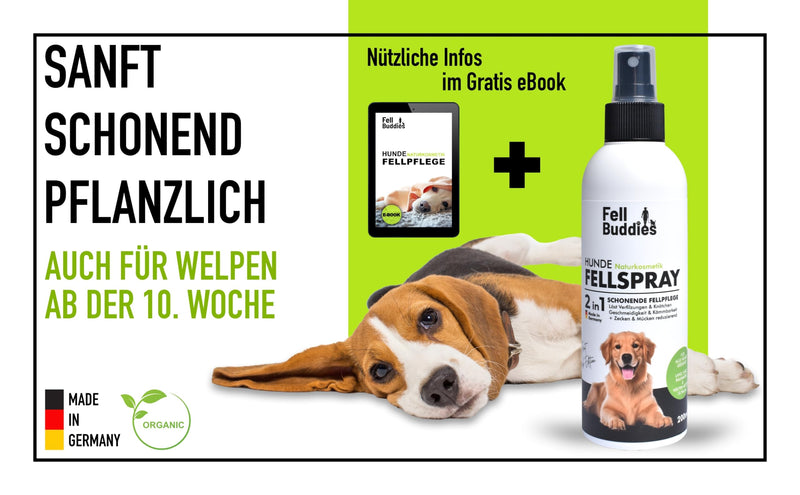 FellBuddies® fur care spray - ideal care for tangles and knots - improves suppleness and combability Gentle dog natural cosmetics - BeesActive Australia