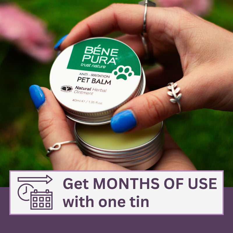 BenePura Dog Paw Balm for Itchy and Irritated Skin Relief - Soothes the Paws, Nose and Skin after Insect Bites - Unscented and Lick Safe - Suitable for Cats - 100% Natural Pet Balm - 1.35 fl. Oz