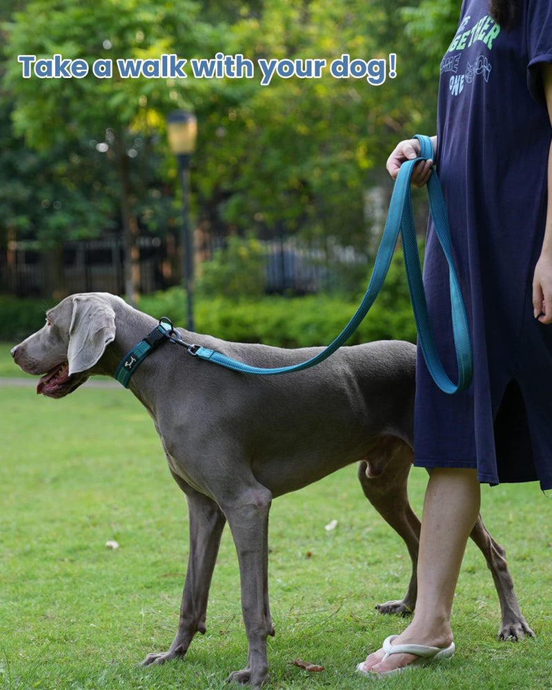 PETTOM Dog Collar Adjustable Nylon Dog Collar Breathable Reflective Collar (Blue L) Blue - BeesActive Australia