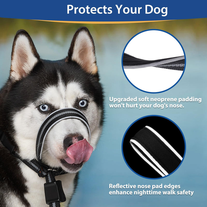 BARKLESS Dog Head Collar, Reflective Head Halter for Small Medium Large Dogs with Soft Padding, No Pull Mouth Harness with Training Leash, Adjustable Muzzle Leash for Gentle Walking M (Snout 9½-12½ '') Black - BeesActive Australia