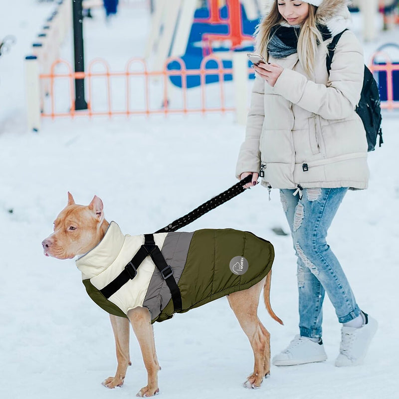 Warm Dog Winter Coat,Waterproof Dog Jacket with Built-in Harness,Dog Cold Weather Coat with Reflective Stripes,Winter Snow Dog Warm Coat for Small, Medium Dogs,Cold Weather Cozy (Black, L) Black - BeesActive Australia