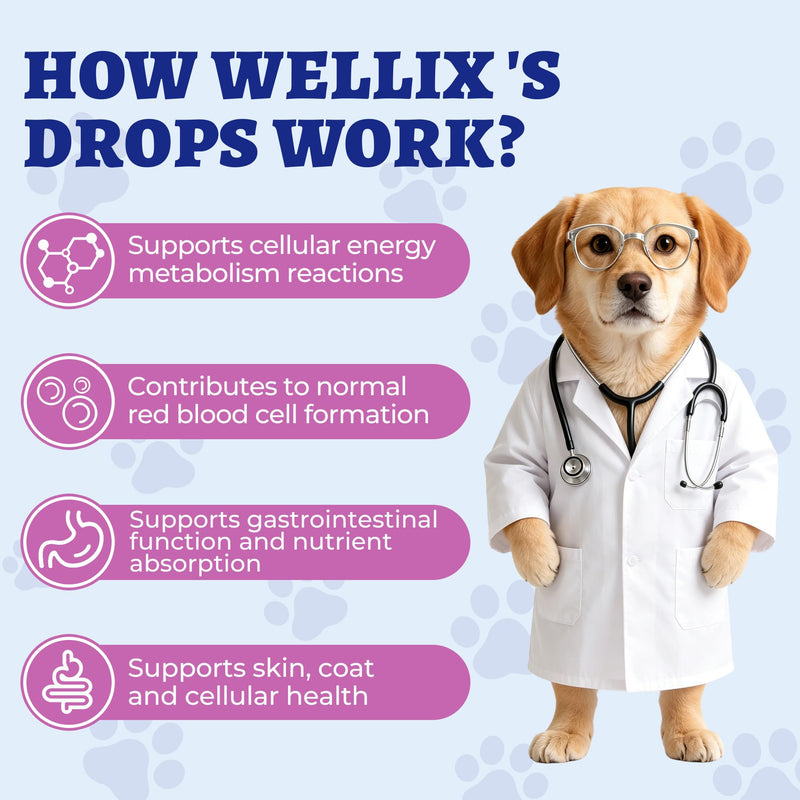 Wellix 4.06 fl oz Vitamin B Complex Drops with Taurine for Dogs and Cats | Vitamin B Complex (B3, B1, B12, B5, B2, etc.) for Dogs and Cats, Appetite Stimulant, Energy Support & Healthy Skin