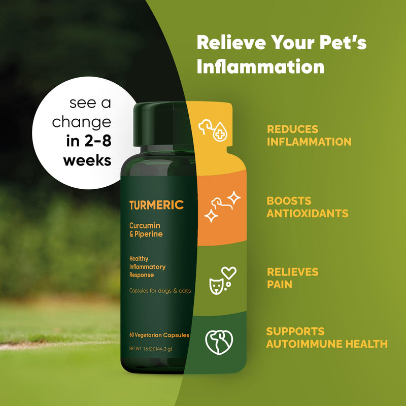 Turmeric - Turmeric Supplement for Dogs and Cats - with Curcumin, Piperine and Vitamin C for Anti-Inflammatory Relief - 60/ct - BeesActive Australia