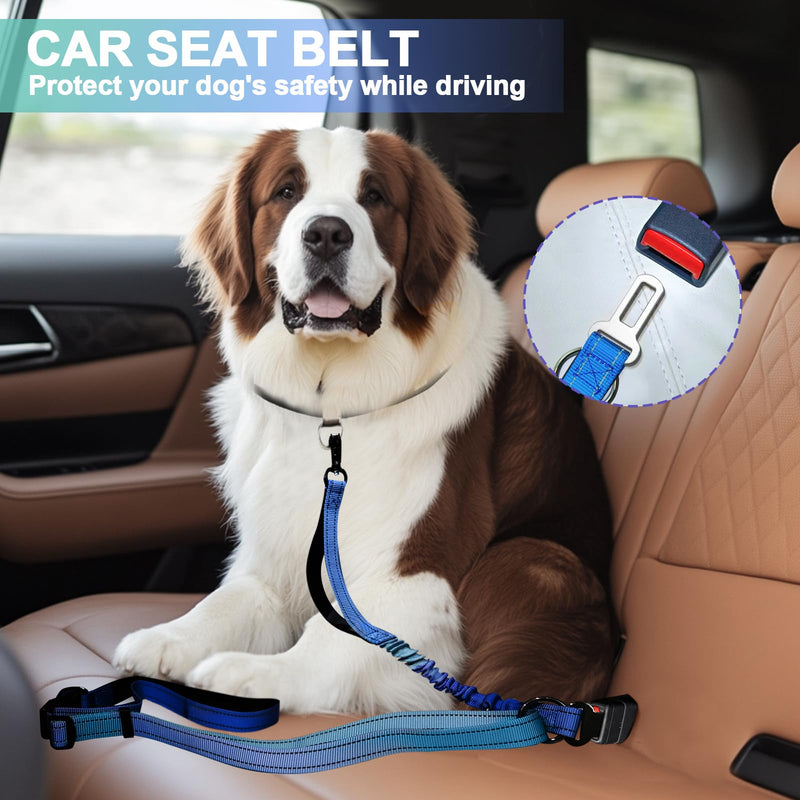 Heavy Duty Hands Free Dog Leash with Quick Release Carabiner and Adjustable No Pull Bungee Dog Running Waist Leash，for Walking and Training with Car Seat Belt 4-6FT (Aquamarine) Aquamarine - BeesActive Australia