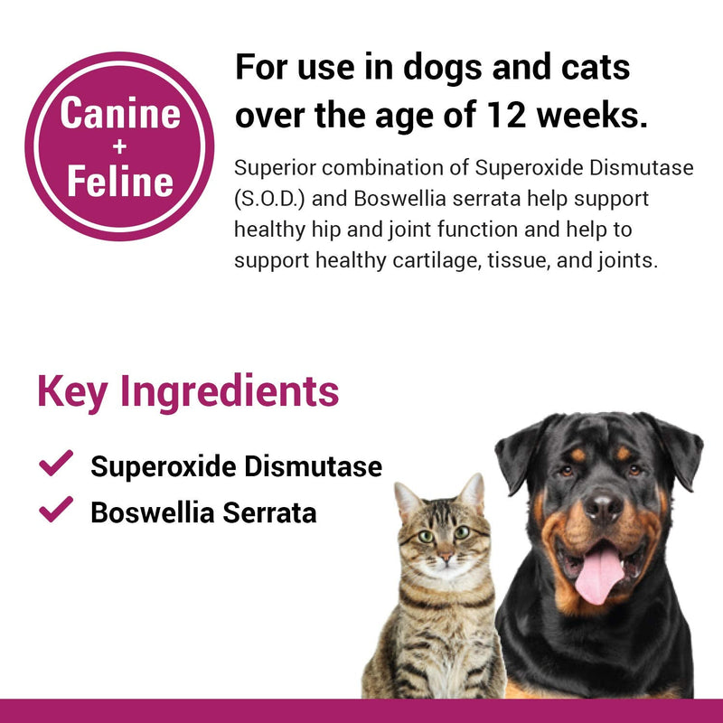 Vet Classics S.O.D. & Boswellia Joint Support Supplement for Dogs, Cats – Dog Hip & Cat Joint Supplement – Alleviates Aches, Discomfort– for Flexibility, Healthy Joint Function - 500 Chewable Tablets - BeesActive Australia