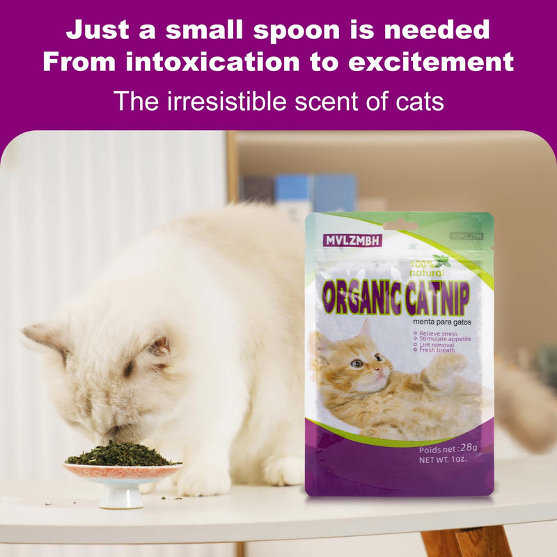 Organic 100% Natural Catnip Cattle Grass Mint Taste Funny Cat Toy New Cat Toy Interactive Cat Toys Pet Supplies - BeesActive Australia