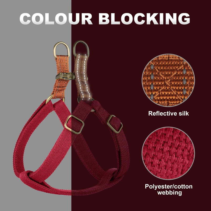 Didog Step in Dog Harness with Metal Buckles, Freedom Nylon Dog Halter Vests for Small Dogs Easy Walking Training(S:Chest 13-22", Red) S(7-18lb) - BeesActive Australia